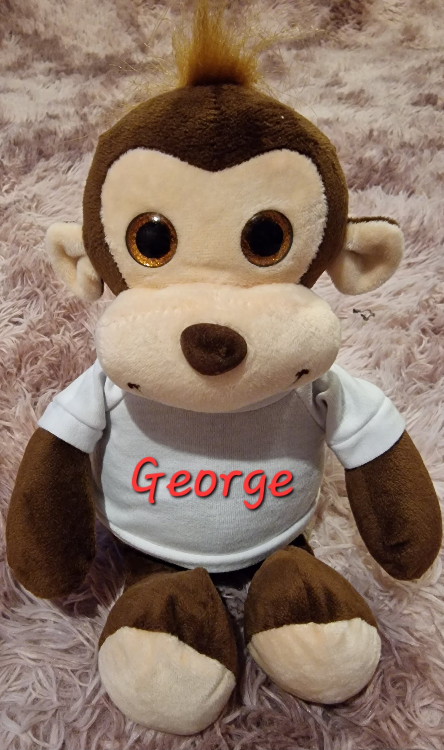 Monkey George